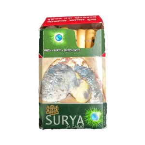 SURYA ARTIC